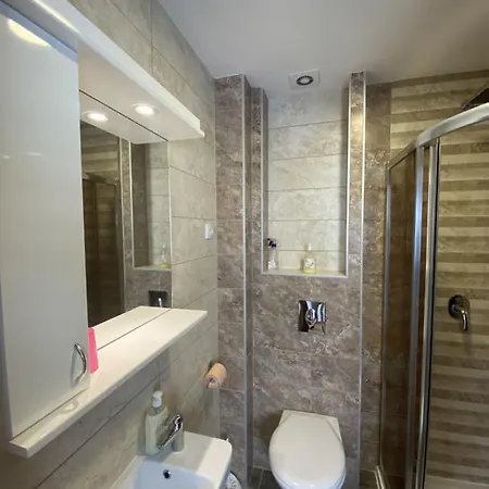 Krsic Apartment