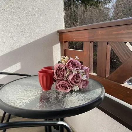 Krsic Apartment