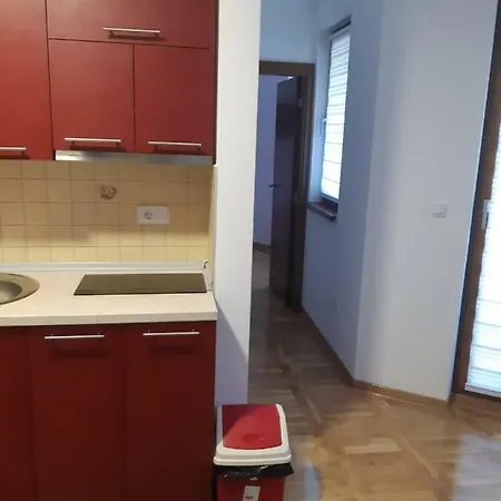 Apartment Krsic Zlatibor