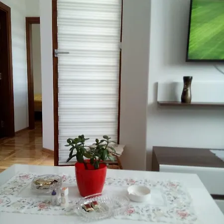 Apartment Krsic *